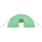 vidaXL kasvuhoone terasraamiga, roheline, 144 m², 24x6x2,85 m цена и информация | Kasvuhooned | kaup24.ee