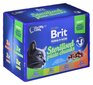 Konservide komplekt Brit Premium steriliseeritud kassidele, 12x100 g цена и информация | Konservid kassidele | kaup24.ee