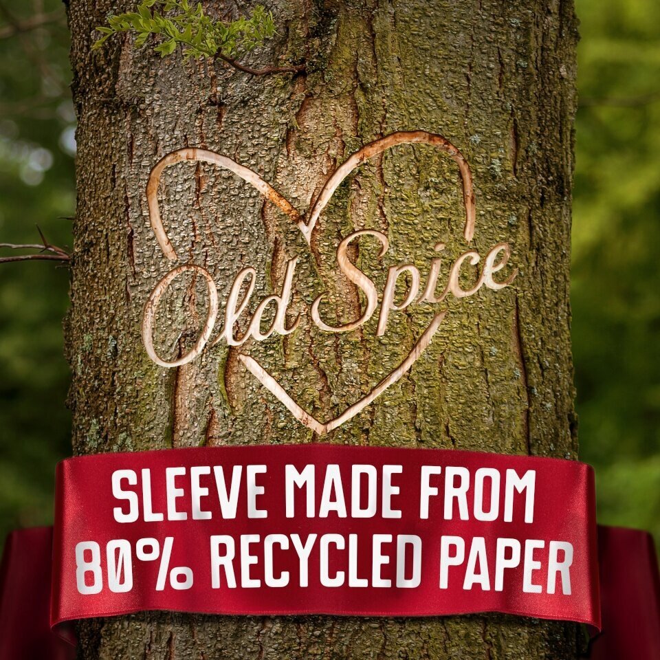 Kinkekomplekt meestele Old Spice Lumberjack цена и информация | Raseerimisvahendid | kaup24.ee