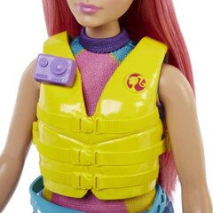 Mattel Nukk Barbie Camping Daisy mängukomplekt цена и информация | Игрушки для девочек | kaup24.ee