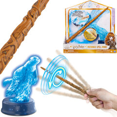 Wand Harry Potter Hermione Granger patronus reageerib liikumisele Light Sound 6+ hind ja info | Karnevali kostüümid | kaup24.ee