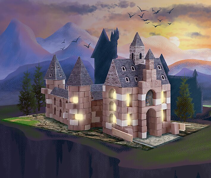 Klotside komplekt Trefl Build with Bricks Harry Potter, 410 tk hind ja info | Klotsid ja konstruktorid | kaup24.ee