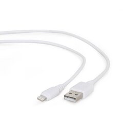 Gembird CC-USB2-AMLM-W, 1 m цена и информация | Кабели и провода | kaup24.ee