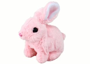 Интерактивная игрушка кролик, розовый цена и информация | Игрушки для мальчиков | kaup24.ee