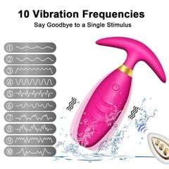 Naiste vibraator puldiga, roosa цена и информация | Вибраторы | kaup24.ee