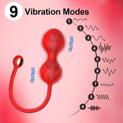 Naiste vibraator APP Control, violetne цена и информация | Вибраторы | kaup24.ee