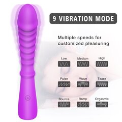 Naiste vibraator, roosa hind ja info | Vibraatorid | kaup24.ee