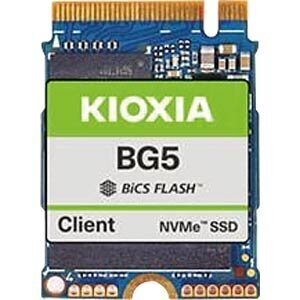 Kioxia BG5 KBG50ZNS512G hind ja info | Sisemised kõvakettad (HDD, SSD, Hybrid) | kaup24.ee