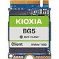 Kioxia BG5 KBG50ZNS512G цена и информация | Sisemised kõvakettad (HDD, SSD, Hybrid) | kaup24.ee