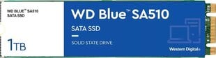 WD Blue SA510 WDS100T3B0B цена и информация | Внутренние жёсткие диски (HDD, SSD, Hybrid) | kaup24.ee