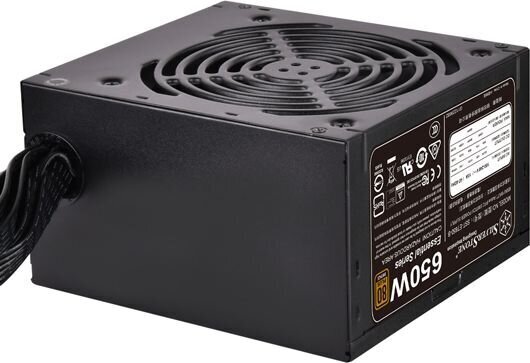 SilverStone ET650-B hind ja info | Toiteplokid (PSU) | kaup24.ee