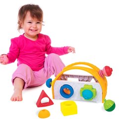 Корзина для сортировки Trefl, 16 деталей цена и информация | Игрушки для малышей | kaup24.ee