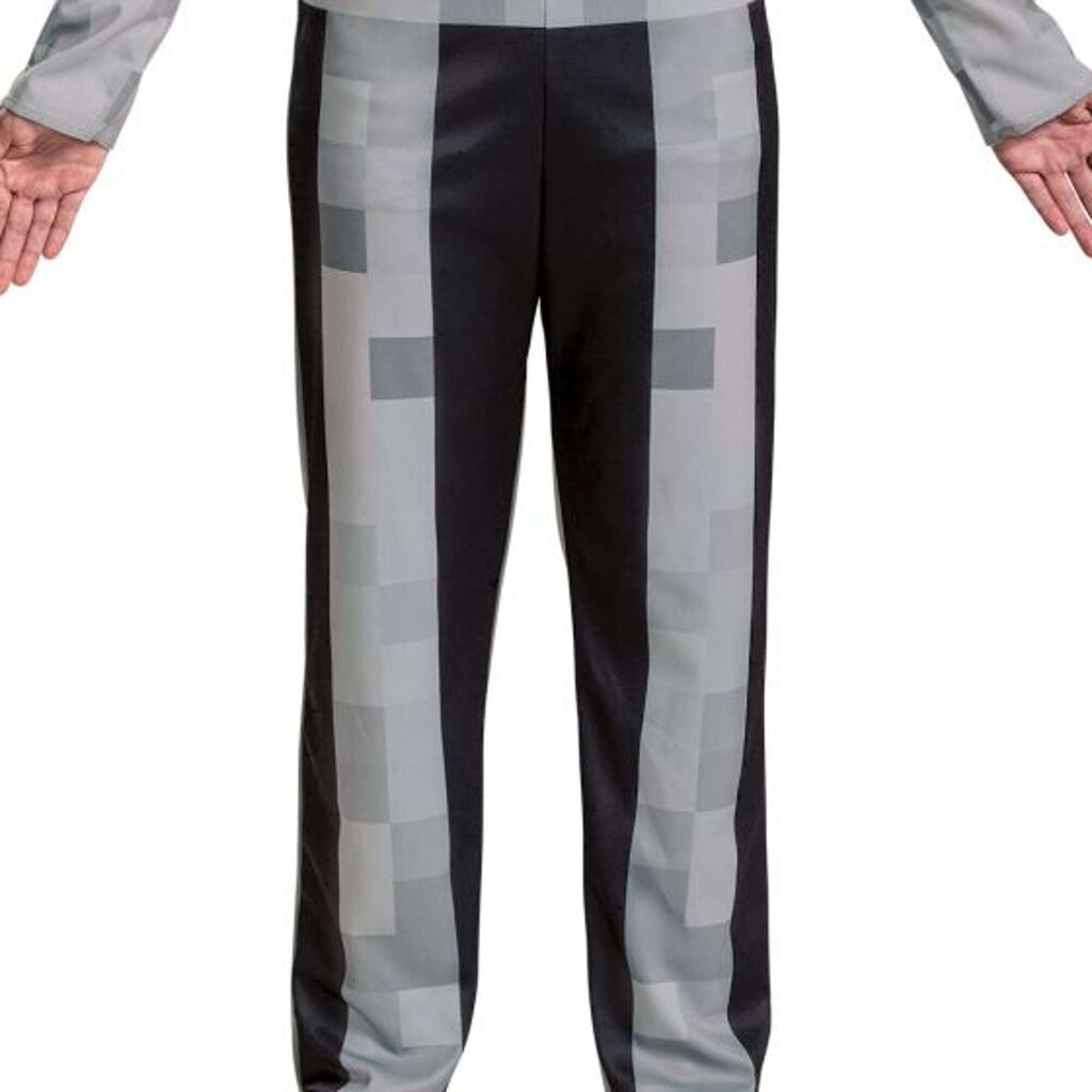 Karnevali kostüüm Minecraft Skeleton Disguise 137-149 cm (10-12 aastat) hind ja info | Karnevali kostüümid | kaup24.ee