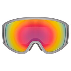 Лыжные очки Uvex тема FM, серые цена и информация | Лыжные очки | kaup24.ee