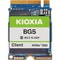 Kioxia BG5 KBG50ZNS256G цена и информация | Sisemised kõvakettad (HDD, SSD, Hybrid) | kaup24.ee