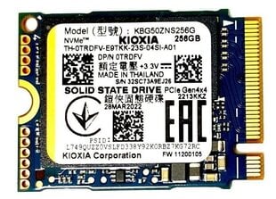Kioxia BG5 KBG50ZNS256G цена и информация | Внутренние жёсткие диски (HDD, SSD, Hybrid) | kaup24.ee