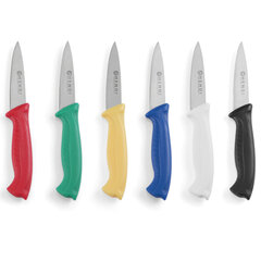 Комплект из шести зазубренных ножей для стейков, 6 шт цена и информация | Подставка для ножей Tescoma Woody, 21 см | kaup24.ee