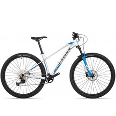 Горный велосипед Rock Machine 29 Torrent 70-29 (I) серебристый/синий (L) цена и информация | Велосипеды | kaup24.ee