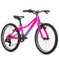 Laste jalgratas Rock Machine Catherine 20 (I) roosa hind ja info | Jalgrattad | kaup24.ee