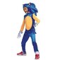 Karnevali kostüüm lastele Sonic the Hedgehog Disguise цена и информация | Karnevali kostüümid | kaup24.ee