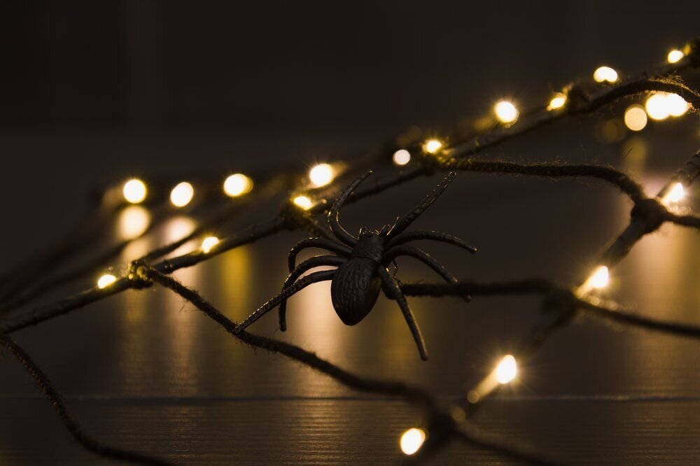 Halloweeni ämblikuvõrk Finnlumor Halloween цена и информация | Peokaunistused | kaup24.ee