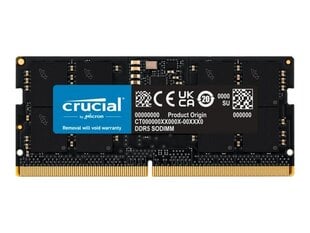 Crucial CT16G52C42S5 hind ja info | crucial Arvutid ja IT- tehnika | kaup24.ee