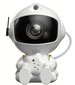 Valgusefektiga projektor Astronaut LED 3D, valge hind ja info | Arendavad mänguasjad | kaup24.ee