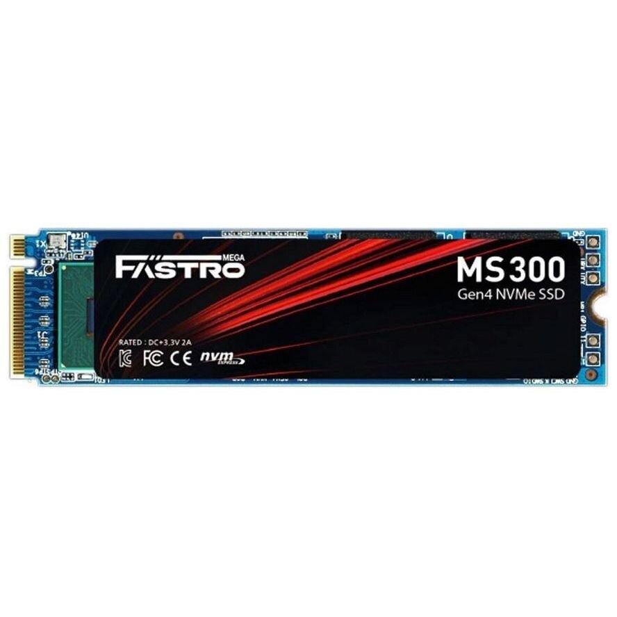 MegaFastro MS300 Series MS300100TTI hind ja info | Sisemised kõvakettad (HDD, SSD, Hybrid) | kaup24.ee