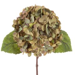 Kunstlill Hortensia hind ja info | Kunstlilled | kaup24.ee