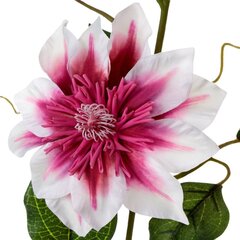 Искусственный цветок Ведьма цена и информация | Искусственные цветы | kaup24.ee