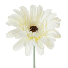 Kunstlill Gerbera hind ja info | Kunstlilled | kaup24.ee