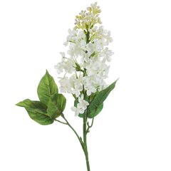 Искусственное растение Олива цена и информация | Искусственные цветы | kaup24.ee