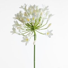 Kunstlill Agapanthus hind ja info | Kunstlilled | kaup24.ee