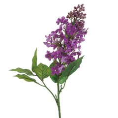 Искусственное растение Олива цена и информация | Искусственные цветы | kaup24.ee