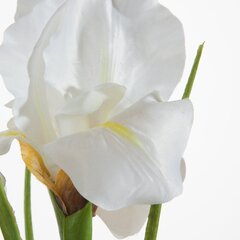 Искусственное растение Ирис цена и информация | Искусственные цветы | kaup24.ee