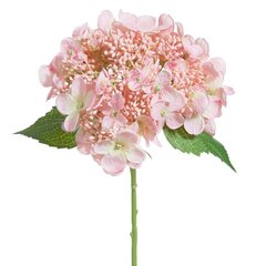 Kunstlill Hortensia hind ja info | Kunstlilled | kaup24.ee