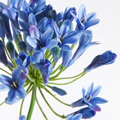 Kunstlill Agapanthus hind ja info | Kunstlilled | kaup24.ee