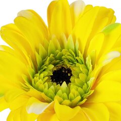 Kunstlill Gerbera hind ja info | Kunstlilled | kaup24.ee