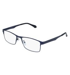 Brilles lasīšanai 7306 D1.00 Blue Metal цена и информация | Очки | kaup24.ee