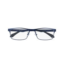 Brilles lasīšanai 7306 D1.00 Blue Metal цена и информация | Очки | kaup24.ee