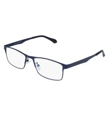 Brilles lasīšanai 7306 D1.75 Blue Metal цена и информация | Очки | kaup24.ee