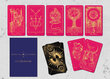 Taro kaardid Mystical Universe Tarot Pink Gold hind ja info | Esoteerika | kaup24.ee