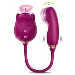 2in1 Naiste vibraator - masseerija Dark Red Brand цена и информация | Вибраторы | kaup24.ee