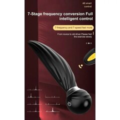 Vibraator - masseerija puldiga Dark Red Brand hind ja info | Vibraatorid | kaup24.ee