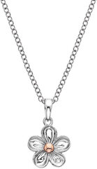 Hot Diamonds Ожерелье с серебряным цветком Не забывай меня DP749 цена и информация | Украшения на шею | kaup24.ee