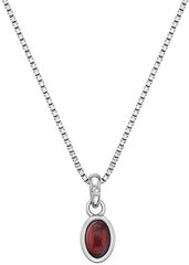 Hot Diamonds Серебряное колье для рожденных в январе Birthstone DP754 цена и информация | Украшения на шею | kaup24.ee