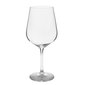 Veiniklaasi komplekt, 4 tk hind ja info | Klaasid, tassid ja kannud | kaup24.ee