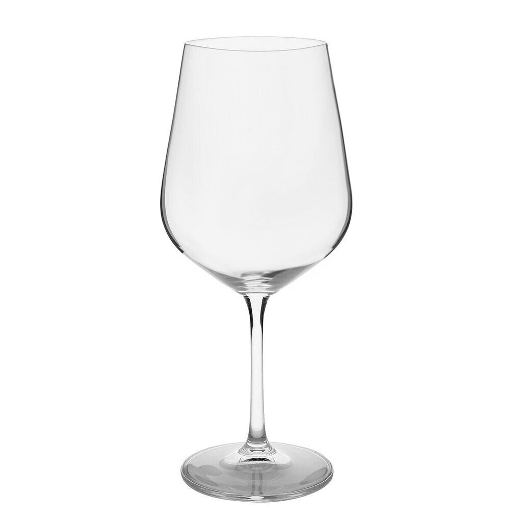 Veiniklaasi komplekt, 4 tk цена и информация | Klaasid, tassid ja kannud | kaup24.ee