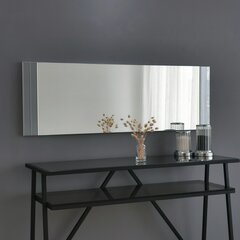 Peegel Asir, 40x120x2,2cm, hõbe hind ja info | Vannitoa peeglid | kaup24.ee
