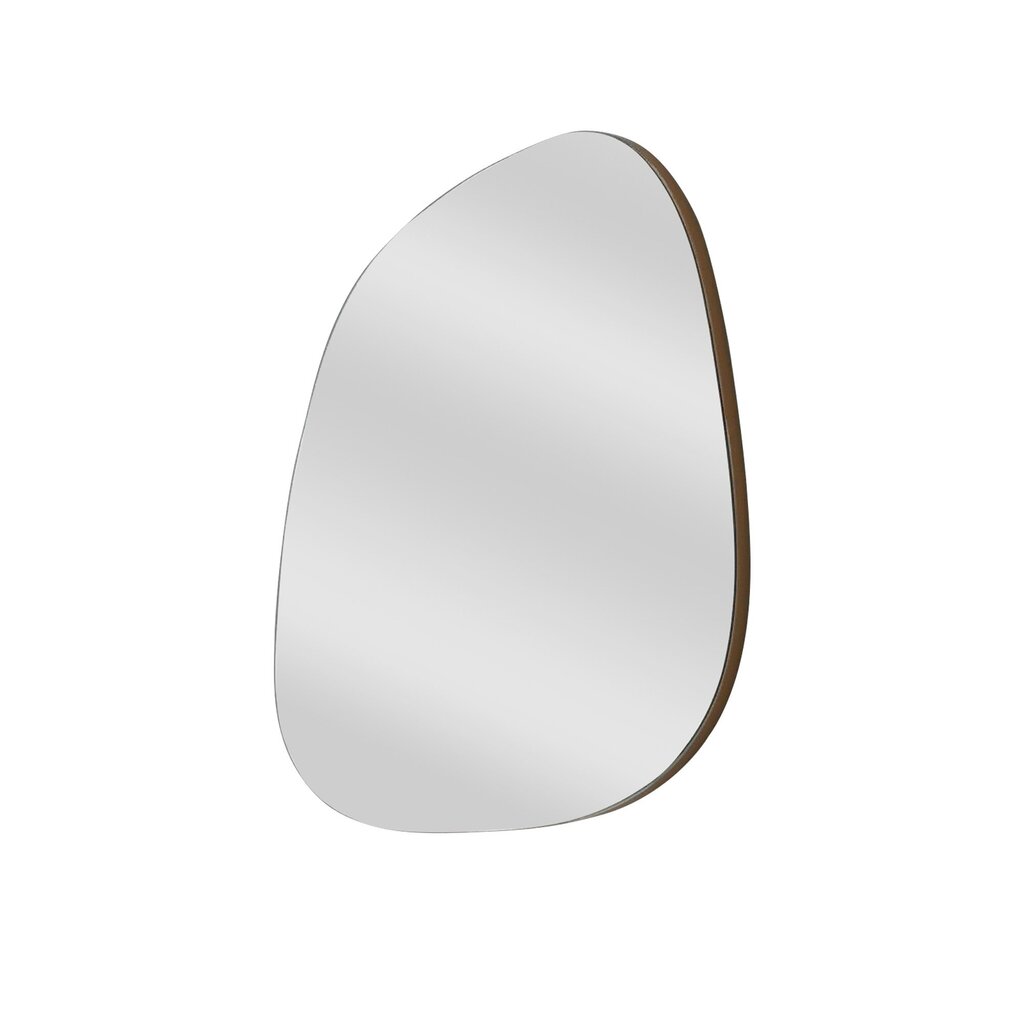 Peegel Asir, 58x75x0,18cm, hõbe hind ja info | Vannitoa peeglid | kaup24.ee
